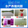 南華千牧光合細菌菌種調水質(zhì)ph值氨氮穩定水色光合細菌培養基母液水產(chǎn)養殖 光合細菌1000ml/壺【買(mǎi)5送1】 水產(chǎn)養殖 曬單實(shí)拍圖