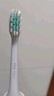 小米電動(dòng)牙刷成人T200T100/T300聲波全自動(dòng)抗菌軟毛學(xué)生情侶套裝送男款女款生日禮物 T200 藍色+12支定制刷頭 曬單實(shí)拍圖