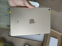 Apple蘋(píng)果ipad9/10/Pro2022/21/20款 /air5/mini7/6二手平板電腦 iPad mini4 曬單實(shí)拍圖