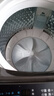 美的（Midea）全自動(dòng)波輪洗衣機10公斤家用免清洗 健康除螨直驅變頻電機一級能效 以舊換新 家電國家補貼20% MB100V36DT 曬單實(shí)拍圖