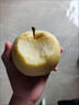 京鮮氣黃金維納斯蘋(píng)果 山東煙臺雀斑冰糖心脆甜維納斯蘋(píng)果整箱禮盒 精選果3斤【實(shí)惠裝】 曬單實(shí)拍圖