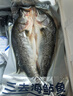 黃小漁寧德三去海鱸魚(yú) 4斤/4條 冷凍開(kāi)背鱸魚(yú) 生鮮 中秋魚(yú)類(lèi)源頭直發(fā) 曬單實(shí)拍圖