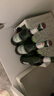 青島啤酒（TsingTao）純生原麥汁濃度8°P 600ml*12瓶  新老包裝隨機發(fā) 中秋節送禮 曬單實(shí)拍圖