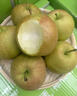 愛(ài)山姆隰縣梨園 山西隰縣玉露香梨 臨汾館玉露香梨脆甜多汁梨子特產(chǎn) 6顆裝4斤大果(單果330-380g） 曬單實(shí)拍圖