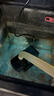 松寶（sobo）魚(yú)缸潛水泵過(guò)濾器循環(huán)造浪增氧泵水族箱抽水泵魚(yú)缸家用換水器 60W 曬單實(shí)拍圖
