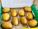 佳沛（zespri）新西蘭  陽(yáng)光金果10粒巨大果單果約144-175g 中秋水果禮盒 獼猴桃 曬單實(shí)拍圖