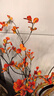 黛莉森  仿真假綠植吊鐘枝日式侘寂風(fēng)藝術(shù)擺件植物客廳餐桌茶幾家居裝飾 藝術(shù)枯枝1短4長(cháng) 曬單實(shí)拍圖