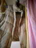 坦博爾羽絨服馬甲女立領(lǐng)寬松短款外搭羽絨背心外套TD336006 奶茶棕 160  曬單實(shí)拍圖