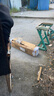 禧瑪精工正品禧瑪精工海竿拋竿全套裝大物鰱鳙桿海釣竿魚(yú)竿甩桿超硬遠投竿 3.6m +全金屬7000漁輪（全套裝） 曬單實(shí)拍圖