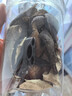 產(chǎn)地直供：正宗古樹(shù)小青柑，圓潤飽滿(mǎn)，柑香醇厚，喜歡的不要錯過(guò) 超值小青柑組合裝總1000G贈茶具 曬單實(shí)拍圖