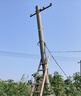 螢石魔丸H90室外4G攝像頭 家用監控三云臺攝像頭 400萬(wàn)+400萬(wàn)雙攝 4G聯(lián)網(wǎng) 內置無(wú)限流量 聯(lián)動(dòng)智能追蹤 曬單實(shí)拍圖