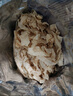 灣琴河 東北豆皮1kg 豆腐皮油豆皮素肉干豆皮腐竹干貨豆制品火鍋食材 曬單實(shí)拍圖