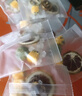 洗象堂青桔檸檬百香果茶10g*20包冷熱雙泡獨立包裝凍干檸檬片水果茶 曬單實(shí)拍圖