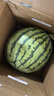 曉吸無(wú)籽麒麟瓜 4kg 曬單實(shí)拍圖