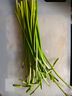 新鮮長(cháng)蒜苔30cm長(cháng)度粗細適中色澤飽滿(mǎn)高品質(zhì)生鮮蒜苔 蒜臺1斤 曬單實(shí)拍圖