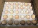 無(wú)抗鮮雞蛋 谷物喂養鮮雞蛋 50±5克/枚 早餐食材 蛋香味十足 30枚裝 曬單實(shí)拍圖