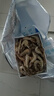 海之幫新鮮青島大蝦超大蝦凍蝦白蝦鮮活冷凍對蝦大號青蝦海鮮批發(fā) 16-18厘米活蝦速凍 3斤(凈重) 曬單實(shí)拍圖