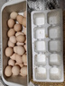 新鮮農家谷物鮮雞蛋  現撿現發(fā) 破損包賠  營(yíng)養早餐 30枚裝（3斤） 曬單實(shí)拍圖