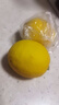 京鮮生 安岳黃檸檬12粒 單果100g+ 生鮮水果 源頭直發(fā)包郵 曬單實(shí)拍圖