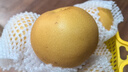 京鮮生山東煙臺萊陽(yáng)秋月梨凈重3斤單果250g+ 新鮮水果 源頭直發(fā)包郵 曬單實(shí)拍圖