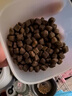 Orijen渴望狗糧 小型犬全期全價(jià)小顆粒雞肉進(jìn)口犬糧1.8kg效期26/7 曬單實(shí)拍圖