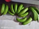 鮮美驚 【順豐包郵】廣西北海潿洲島香蕉火山綠皮青皮蕉無(wú)加劑自然捂熟 5.5斤  潿洲島發(fā)貨 曬單實(shí)拍圖