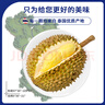 鮮級佳泰國進(jìn)口新鮮榴蓮老樹(shù)果新鮮整個(gè)帶殼榴蓮熱帶水果 金枕榴蓮2-3斤1個(gè)裝丨【包3-4房】 曬單實(shí)拍圖