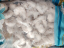 三只海豚鮮凍青蝦仁凈重1.5斤 特大號61-80只 冷凍活剝開(kāi)背去蝦線(xiàn)湛江蝦類(lèi) 曬單實(shí)拍圖