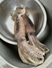 美加佳 鮮凍整只大魷魚(yú)（2-3只） 凈重550g 整條魷魚(yú) 深海捕撈 海鮮水產(chǎn) 曬單實(shí)拍圖