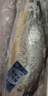 深海野游大黃魚1條(500-600g) 曬單實(shí)拍圖