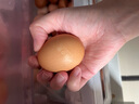 赤東森之卵無(wú)抗鮮雞蛋90枚商業(yè)裝紅心可生食溫泉當日鮮卵 曬單實(shí)拍圖