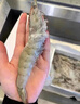 北海灣 厄瓜多爾白蝦 大蝦鮮活速凍鹽凍南美白蝦基圍蝦海蝦對蝦海鮮批發(fā) 【特大蝦 15-18cm】 3斤(凈重) 曬單實(shí)拍圖