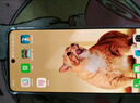 一加 Ace 5 競速版 12GB+256GB 磐石黑 天璣 9400e 風(fēng)馳游戲內核 oppo新品游戲性能 5G 智能電競手機 曬單實(shí)拍圖