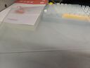 晨光（M&G）文具 20只A4按扣學(xué)生桌面透明文件袋試卷收納開(kāi)學(xué)學(xué)科分類(lèi)辦公用品塑料防水檔案袋 ADM929YR 曬單實(shí)拍圖