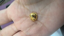 周大福爆閃魚(yú)鱗愛(ài)心黃金足金吊墜女(工費:280計價(jià))EOF1285 足金 約1.95g 曬單實(shí)拍圖