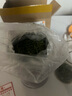 【AAAAA雀舌】特級2025明前頭采新茶貴州湄潭雀舌嫩芽翠芽 250g 曬單實(shí)拍圖
