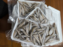深海野生小沙丁魚(yú) 深海捕撈無(wú)添加高DHA低脂 500g/盒一斤40條左右 野生沙丁魚(yú)凈重4斤 曬單實(shí)拍圖