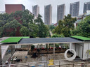 假草皮仿真草坪綠色地毯戶(hù)外人造塑料人工仿生室外隔熱圍擋足球場(chǎng) 2厘米新升級加密優(yōu)質(zhì)春草 【1米寬/1米長(cháng)】需要幾米長(cháng)拍幾米（整卷25米） 曬單實(shí)拍圖