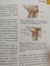 【新華正版】基礎肌動(dòng)學(xué)第四版物理治療師的肌肉骨骼功能解剖學(xué)基礎保羅杰克遜曼斯菲爾德肌肉骨骼系統的結構和功能筋膜解剖列車(chē)書(shū) 解剖列車(chē)(第4版) 曬單實(shí)拍圖
