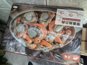 靈略冷凍特大號帶黃扇貝肉凈重2斤 約40-90只 干凈無(wú)沙 燒烤海鮮 曬單實(shí)拍圖