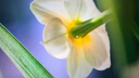 飛利浦（PHILIPS）27英寸4K IPS 10bit HDR400 TypeC65w 100%sRGB PIP/PBP智能分屏 升降旋轉 專(zhuān)業(yè)設計屏 辦公顯示器 27E1N5900R 曬單實(shí)拍圖