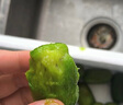 京覓 丹東軟棗獼猴桃綠心奇異莓單果15-30g 3斤裝凈重水果源頭直發(fā) 曬單實(shí)拍圖