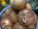 新鮮黃洋蔥黃金水果洋蔥即食蔬菜調料燒烤食材 新鮮黃洋蔥 500g 含箱 曬單實(shí)拍圖