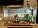 森森 小鯉魚(yú)缸過(guò)濾器凈水循環(huán)三合一內置水族箱過(guò)濾系統XQP-500F 6W 曬單實(shí)拍圖