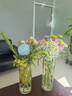 花點(diǎn)時(shí)間自然系列每周一花包月鮮花插花源頭直發(fā)生日禮物云南鮮切花束 旗艦版-包年48束 周一至周二送達（周五17點(diǎn)前下單） 曬單實(shí)拍圖