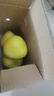 梅州紅心蜜柚白肉柚子新鮮水果冰糖金碌柚非三紅柚沙田柚產(chǎn)地直發(fā) 白心蜜柚 【熱銷(xiāo)】4-5粒 單果1.8斤+ 曬單實(shí)拍圖
