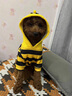 京悠雨狗狗衣服秋冬款蜜蜂裝小柯基泰迪比熊貴賓小型犬寵物保暖 黃蜜蜂馬甲 S(建議3-5斤 參考胸圍背長(cháng)) 曬單實(shí)拍圖