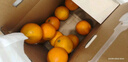 【整箱】產(chǎn)地直采愛(ài)媛果凍橙中大果2.5kg 曬單實(shí)拍圖