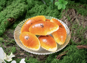 【東方甄選同款】現烤黃油牛角包早餐面包休閑零食下午茶點(diǎn)心速食 奶芙金牛角（原味） 1*30g*7個(gè)裝 曬單實(shí)拍圖