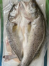 仙泉湖三去白蕉海鱸魚(yú)1斤/條凈膛冷凍刺少肉厚珠海特產(chǎn)500g生鮮中秋食材 曬單實(shí)拍圖